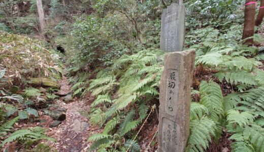【鎌倉おすすめ】祇園山ハイキングコース