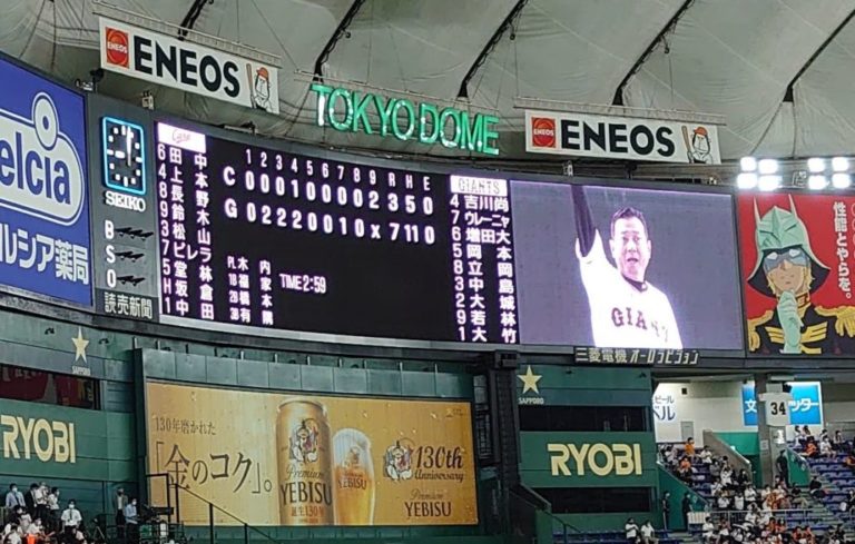 野球バックネット裏ペア！６月４日　東京ドーム　巨人対日本ハム